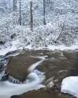 USA, Pennsylvania, Delaware Water Gap. Stream rapids and winter forest. Art Print